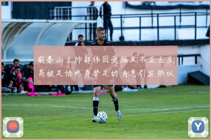前泰山主帅郝伟因受贿及不正当交易被足协终身禁足的消息引发热议